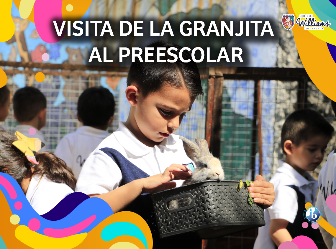 Visita de la granjita al preescolar